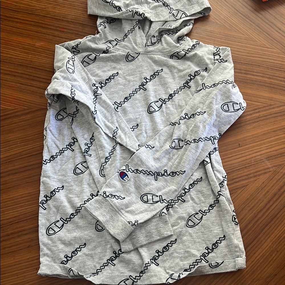 Champion Gray Sweatshirt Hoodie